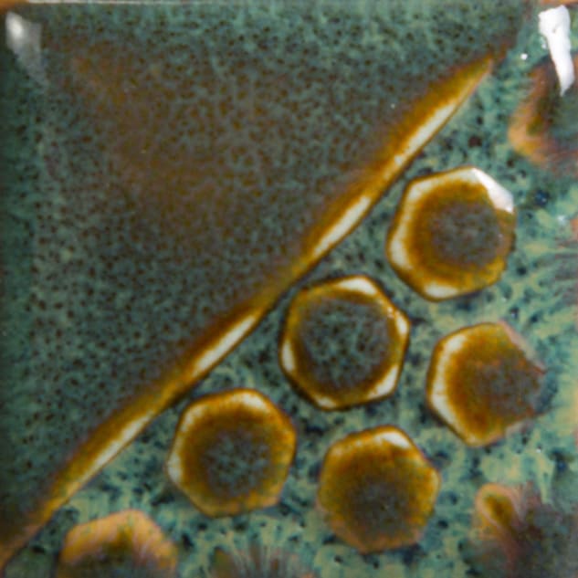 EL-131 TURTLE SHELL2