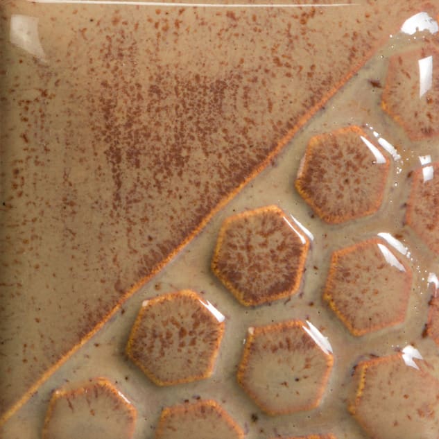 EL-145 GINGER ROOT1