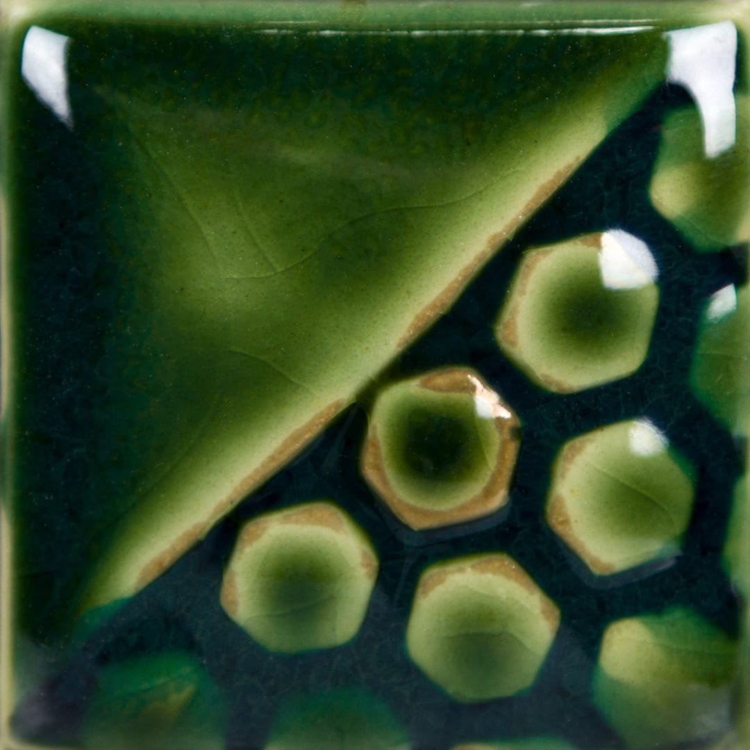 EL-156 BLUEGRASS2