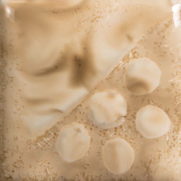 EL-212 SPOTTED WALNUT2