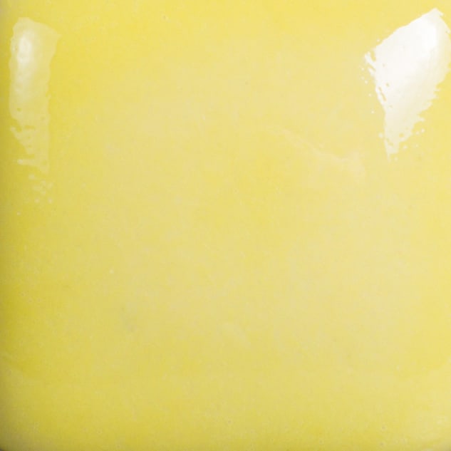 FN-002 YELLOW2