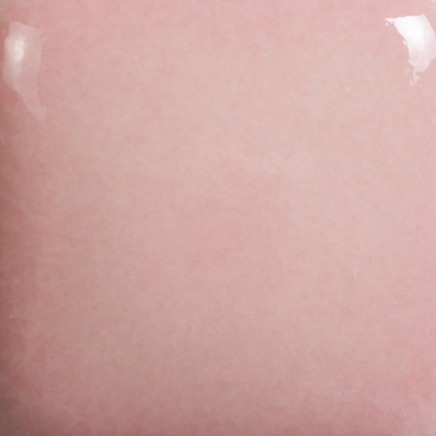 FN-005 PINK2