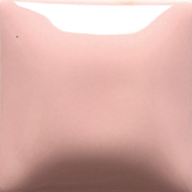 FN-005 PINK1