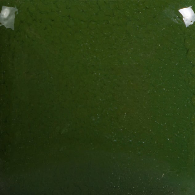 FN-010 GREEN2