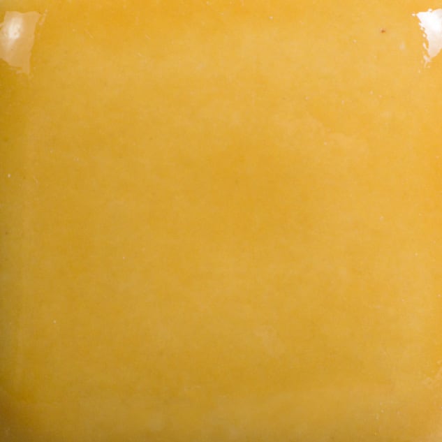 FN-016 HARVEST ORANGE2