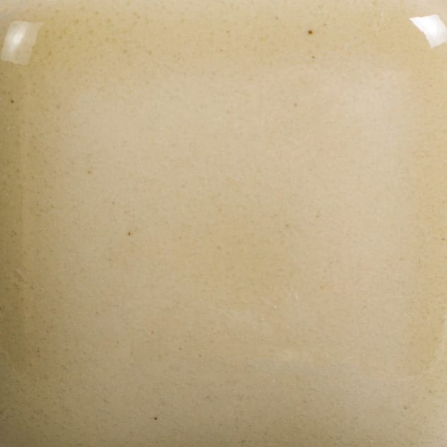 FN-204 MUDPUDDLE BROWN2