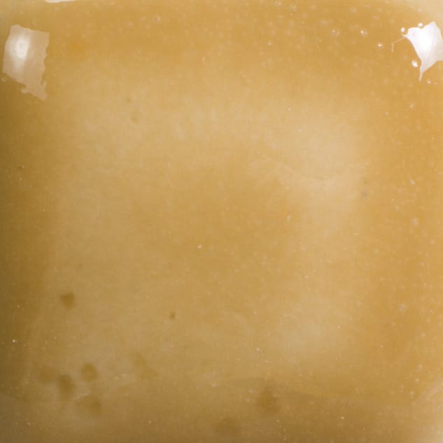 FN-205 SADDLE TAN2