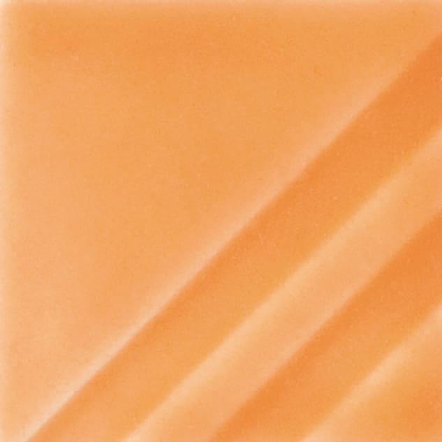 FN-207 ORANGE SLICE1