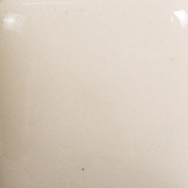 FN-208 CRYSTAL CORAL2