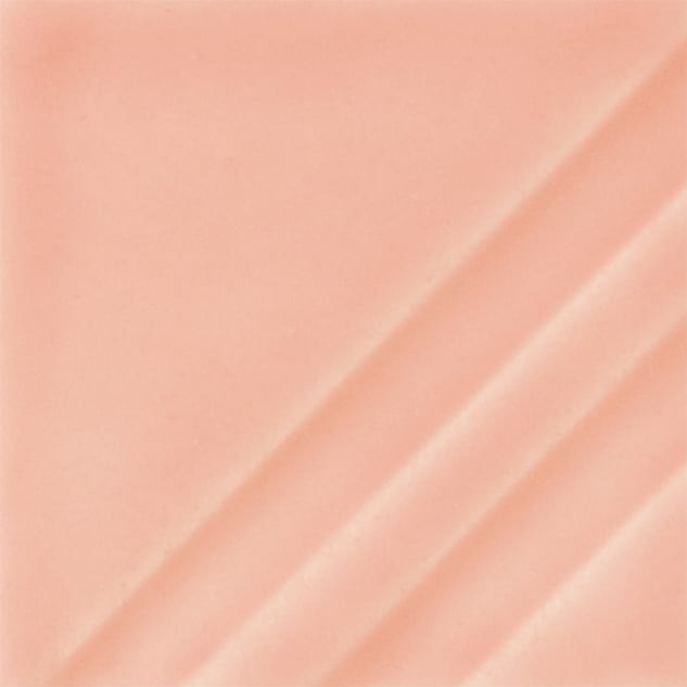 FN-209 FLORAL PINK1