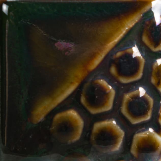 FN-217 EVERGREEN FIR2