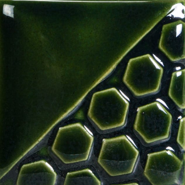 FN-217 EVERGREEN FIR1