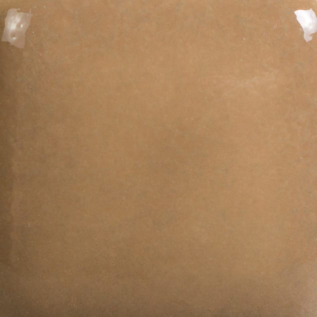 FN-022 TAN2