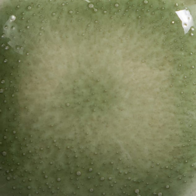 FN-231 CLEARLY JADE2