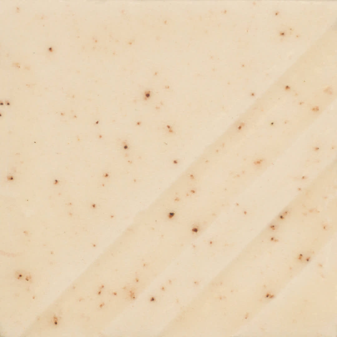 FN-239 SPICED CREAM1