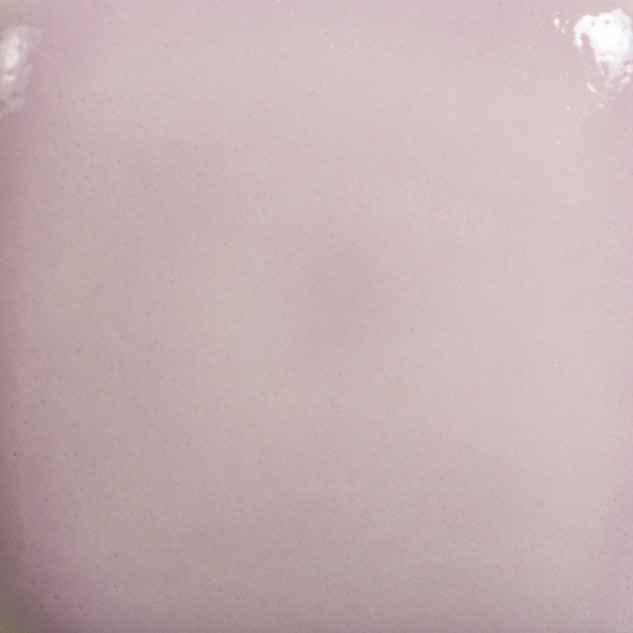 FN-025 RASPBERRY WHIP2