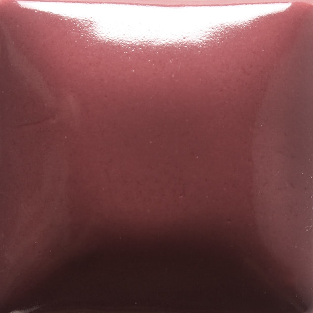 FN-025 RASPBERRY WHIP1