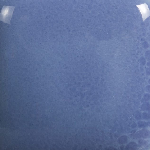 FN-031 CORN FLOWER BLUE2