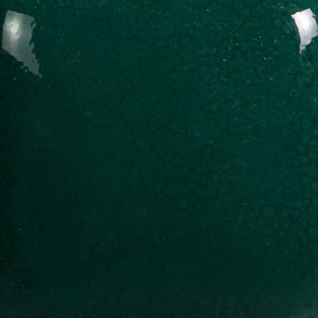 FN-033 MEDITERRANEAN TEAL2