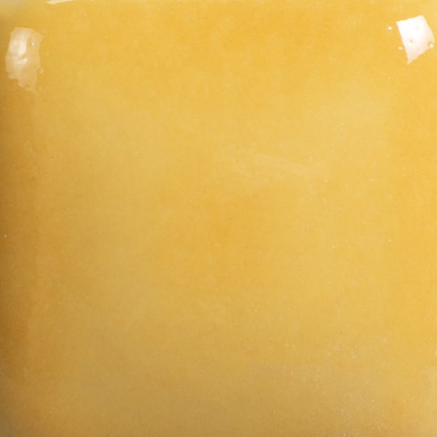 FN-044 YELLOW ORANGE2