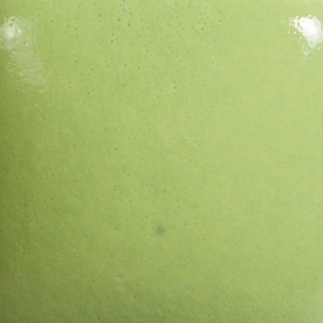 FN-054 PISTACHIO2