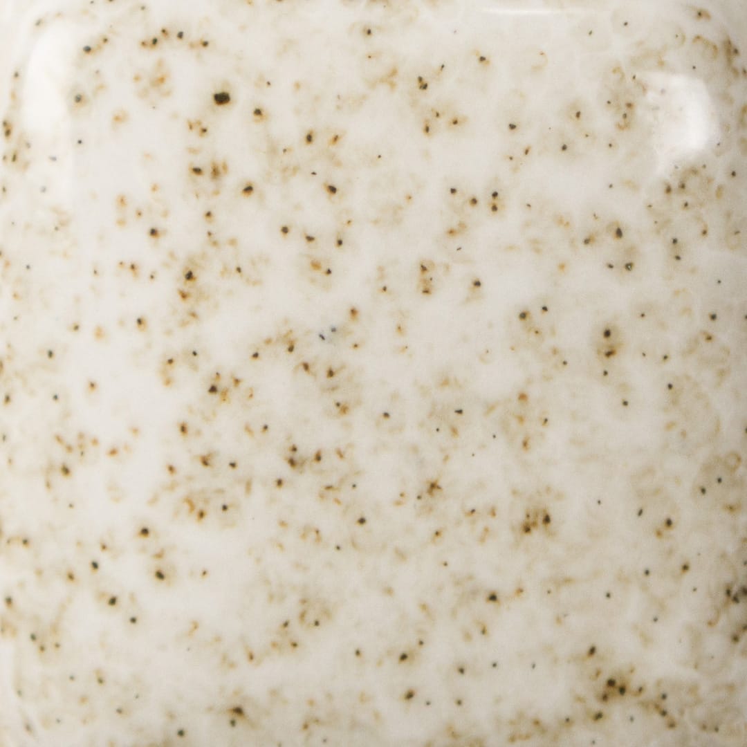 FN-061 Ivory Speck2