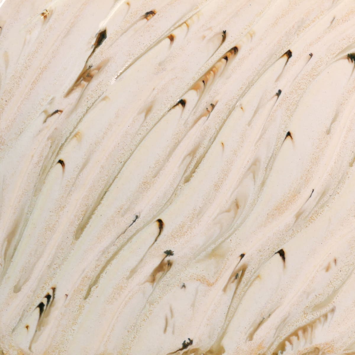 PCF-74 RIVER BIRCH1
