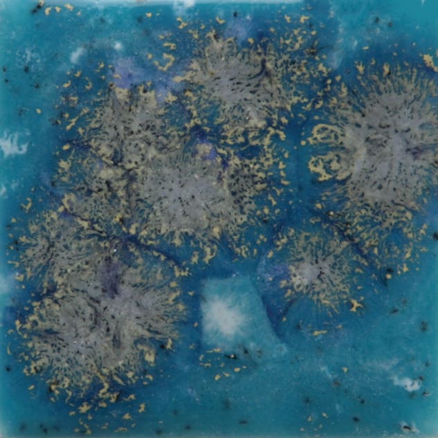 S-2711 TAHITI GRAPE1