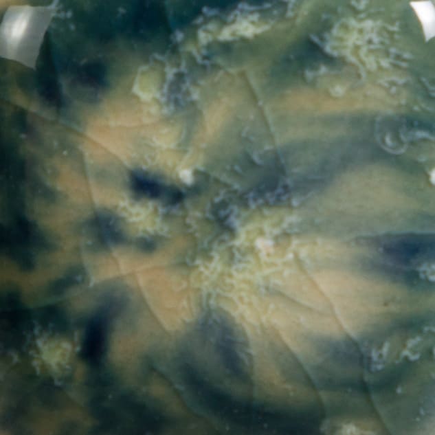 S-2718 COSMIC BLACK2