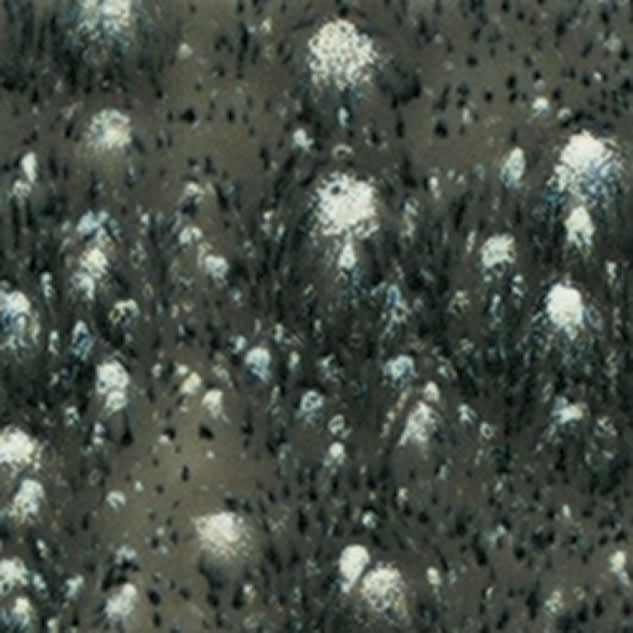 S-2718 COSMIC BLACK1