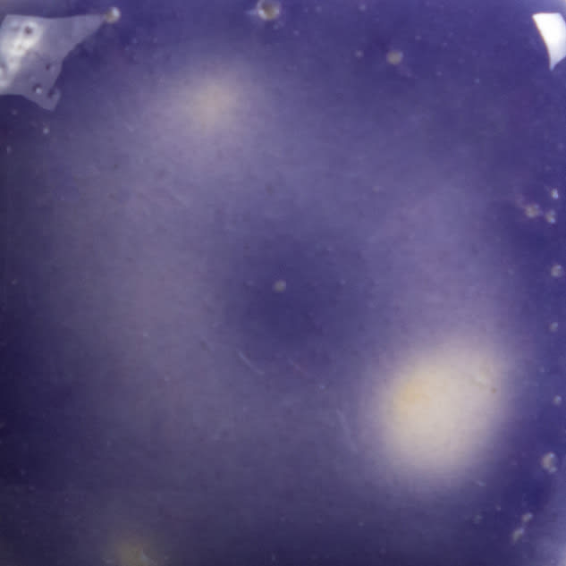 S-2723 GRAPE DIVINE2