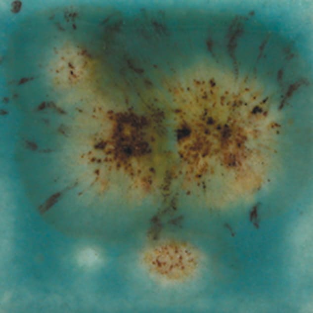 S-2724 LOTUS BLOSSOM1