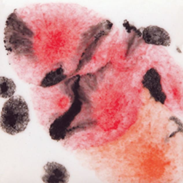 S-2727 POPPY FIELDS1