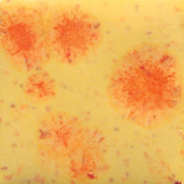 S-2729 CITRUS SPLASH1