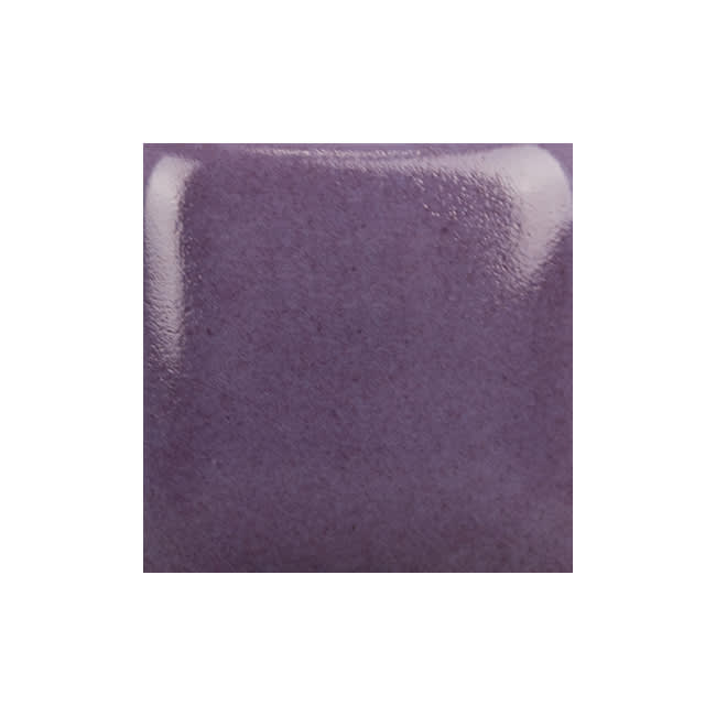 SC-40 BLUEBERRY HILL2