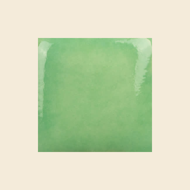 SC-7 LEAPIN' LIZARD1