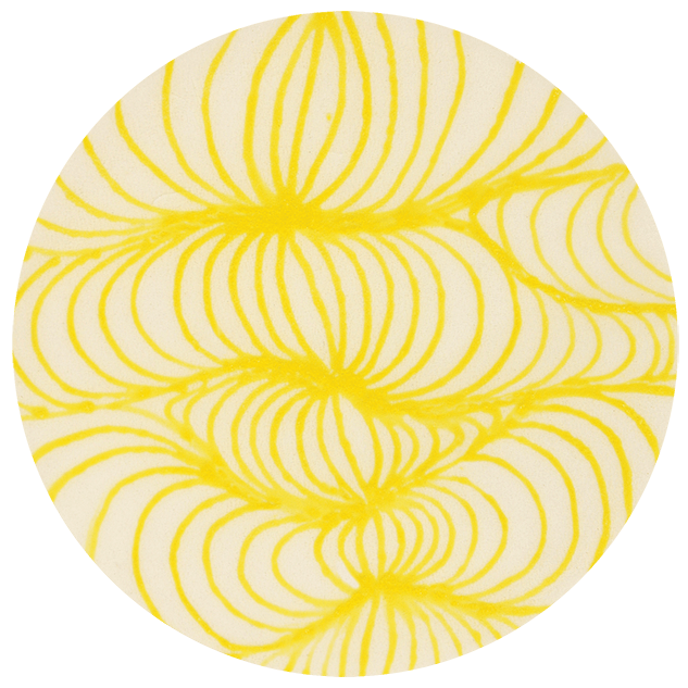 SG-407 DESIGNER LINER YELLOW2