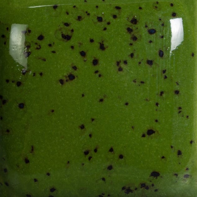 SP-226 SPECKLED GREEN THUMB2