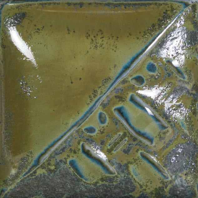 SW-184 SPECKLED TOAD2