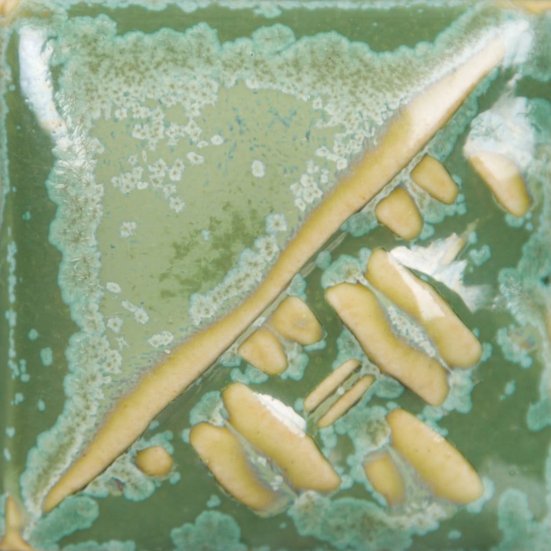 SW-193 IVY1