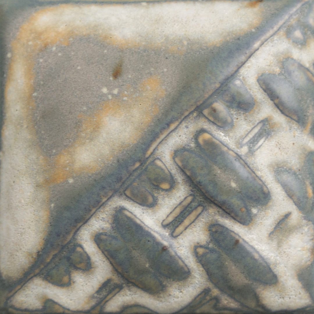 SW-197 FOSSIL ROCK2