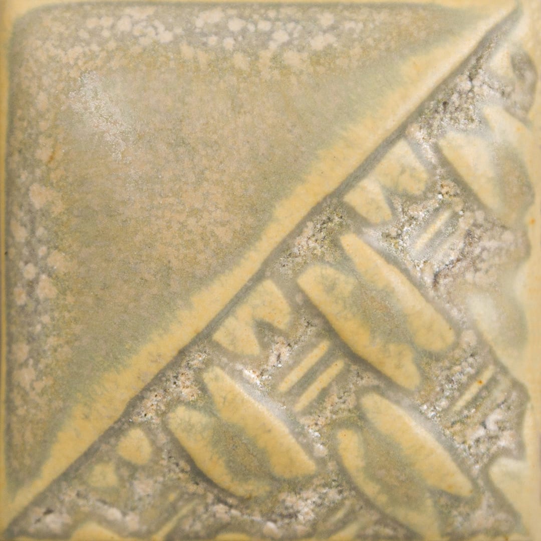 SW-197 FOSSIL ROCK1