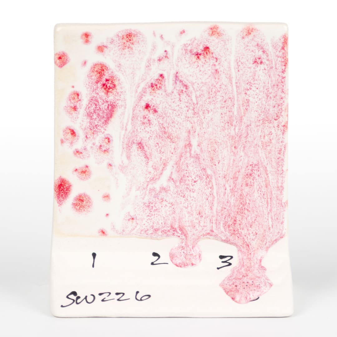 SW-226 PINK PEARL5