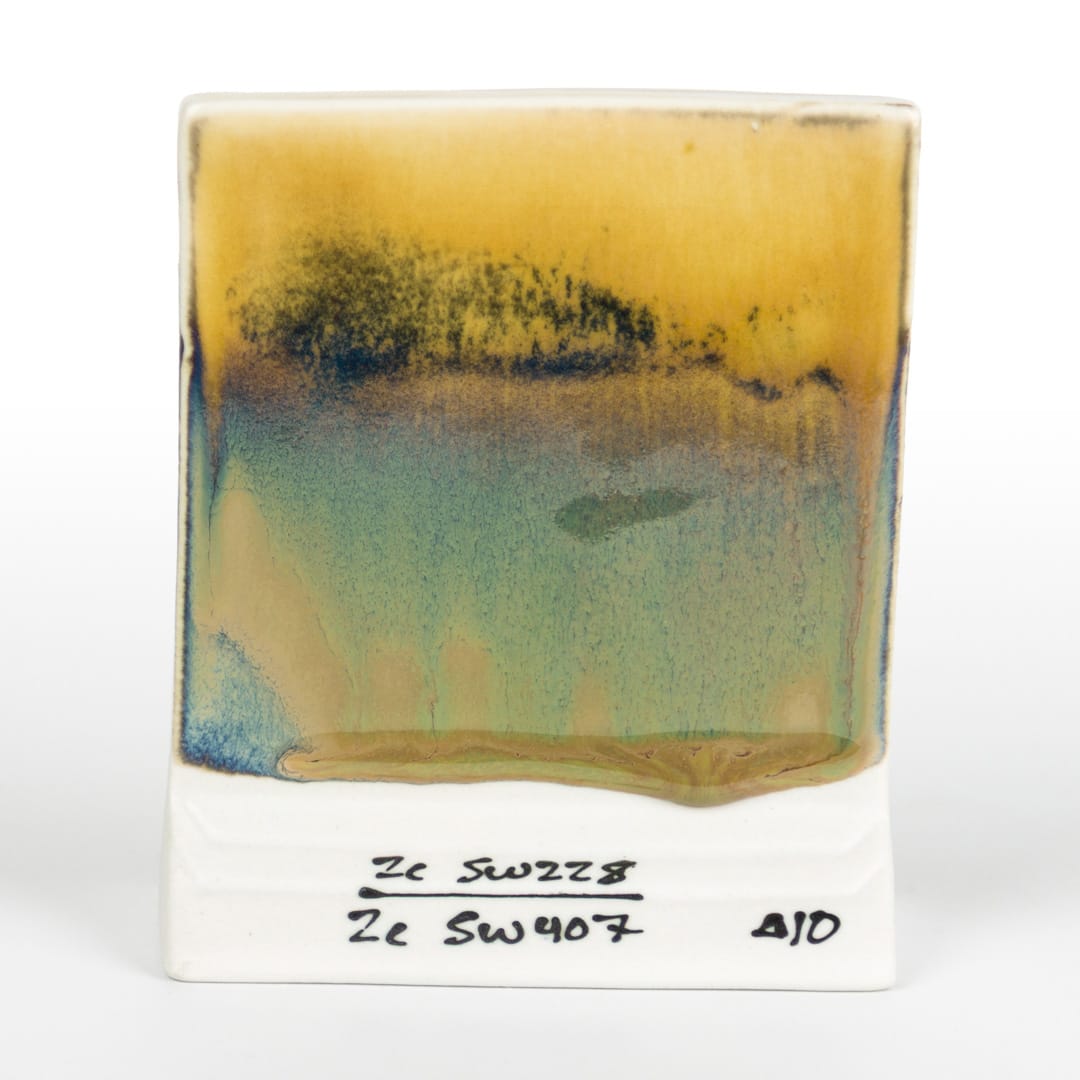 SW-228 BEETLEWING12