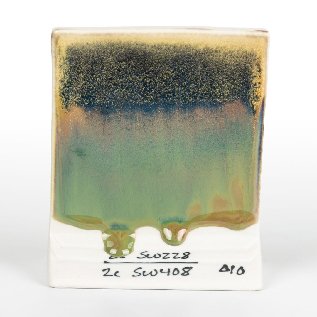 SW-228 BEETLEWING14