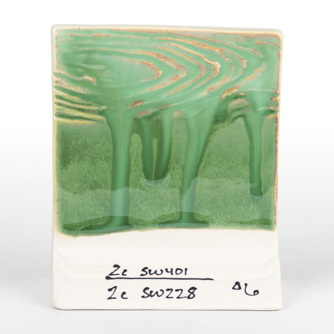 SW-228 BEETLEWING15