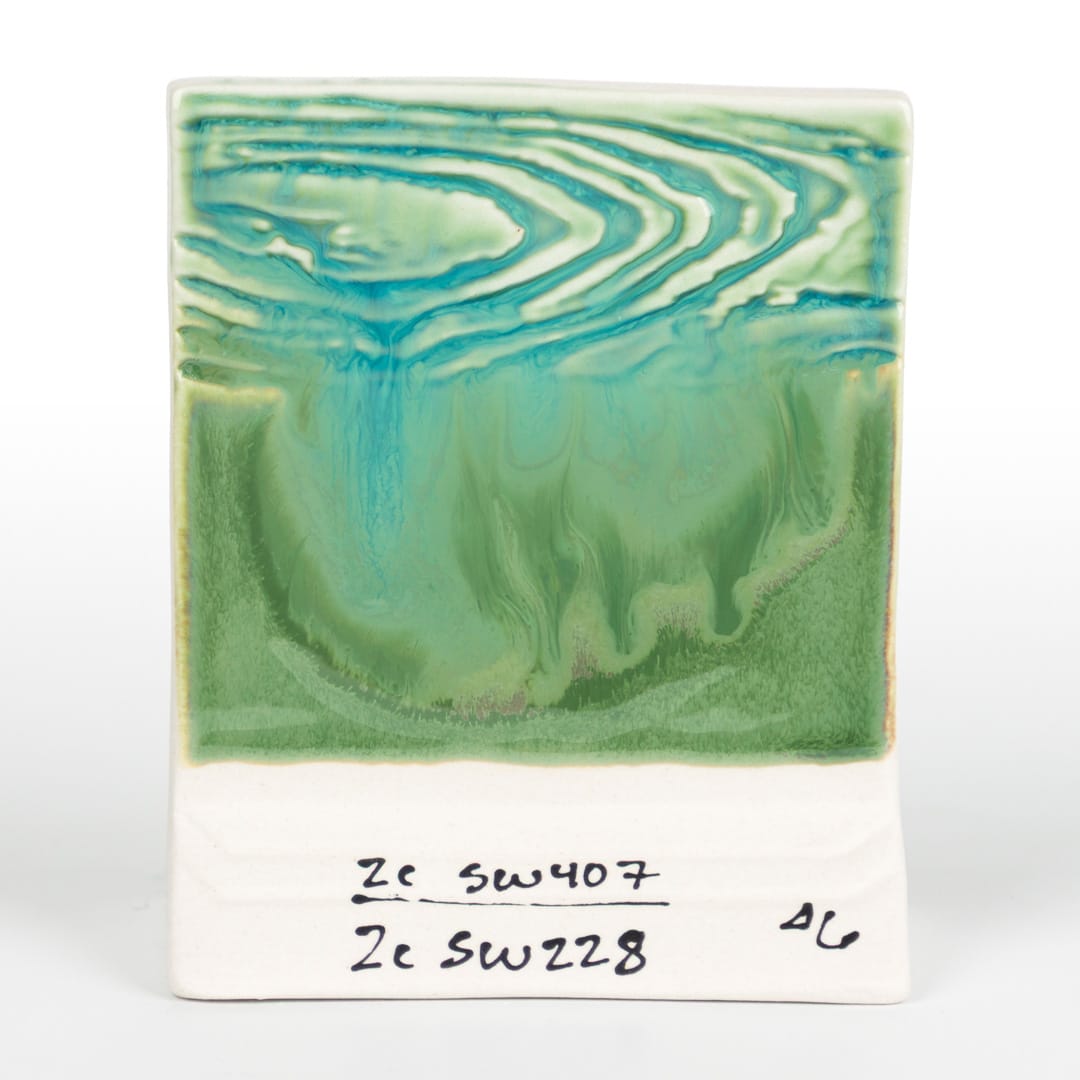SW-228 BEETLEWING19