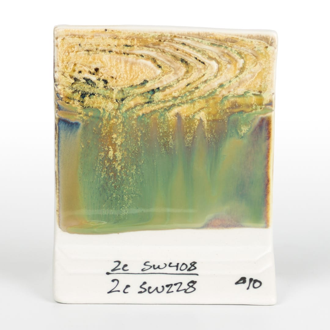 SW-228 BEETLEWING22