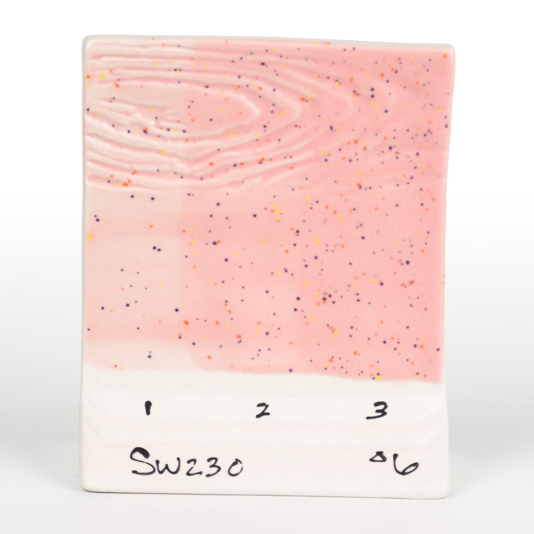 SW-230 PINK SPECK5