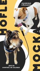 MOCKA: La verdadera historia de la perrita que deslumbró en la alfombra roja del Festival de Viña